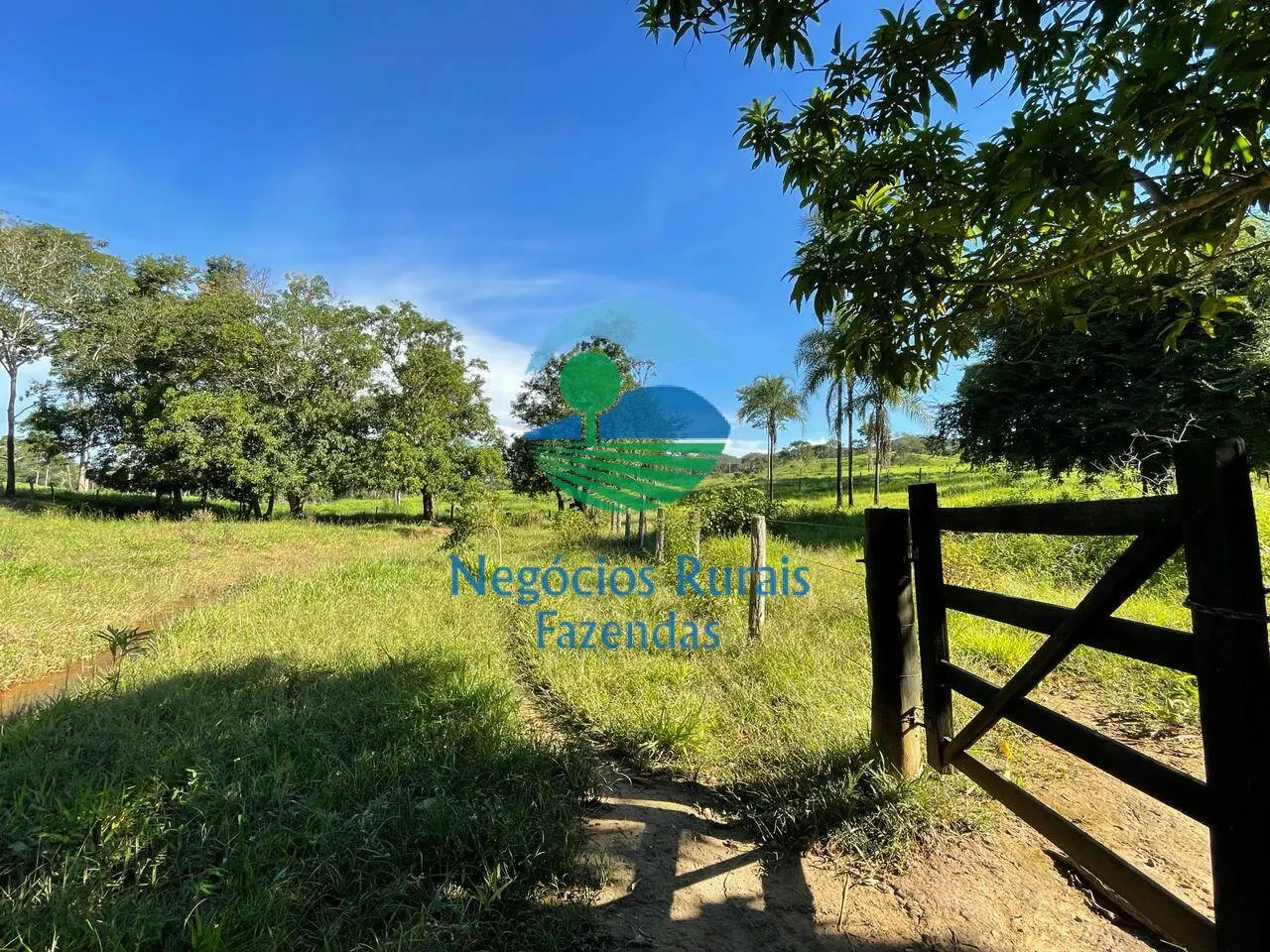 Fazenda à venda de 121 ha em Campinaçu, GO, Brasil