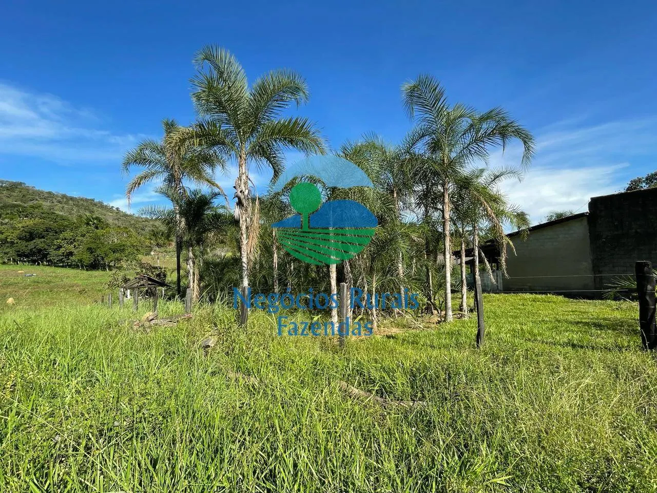 Fazenda à venda de 121 ha em Campinaçu, GO, Brasil