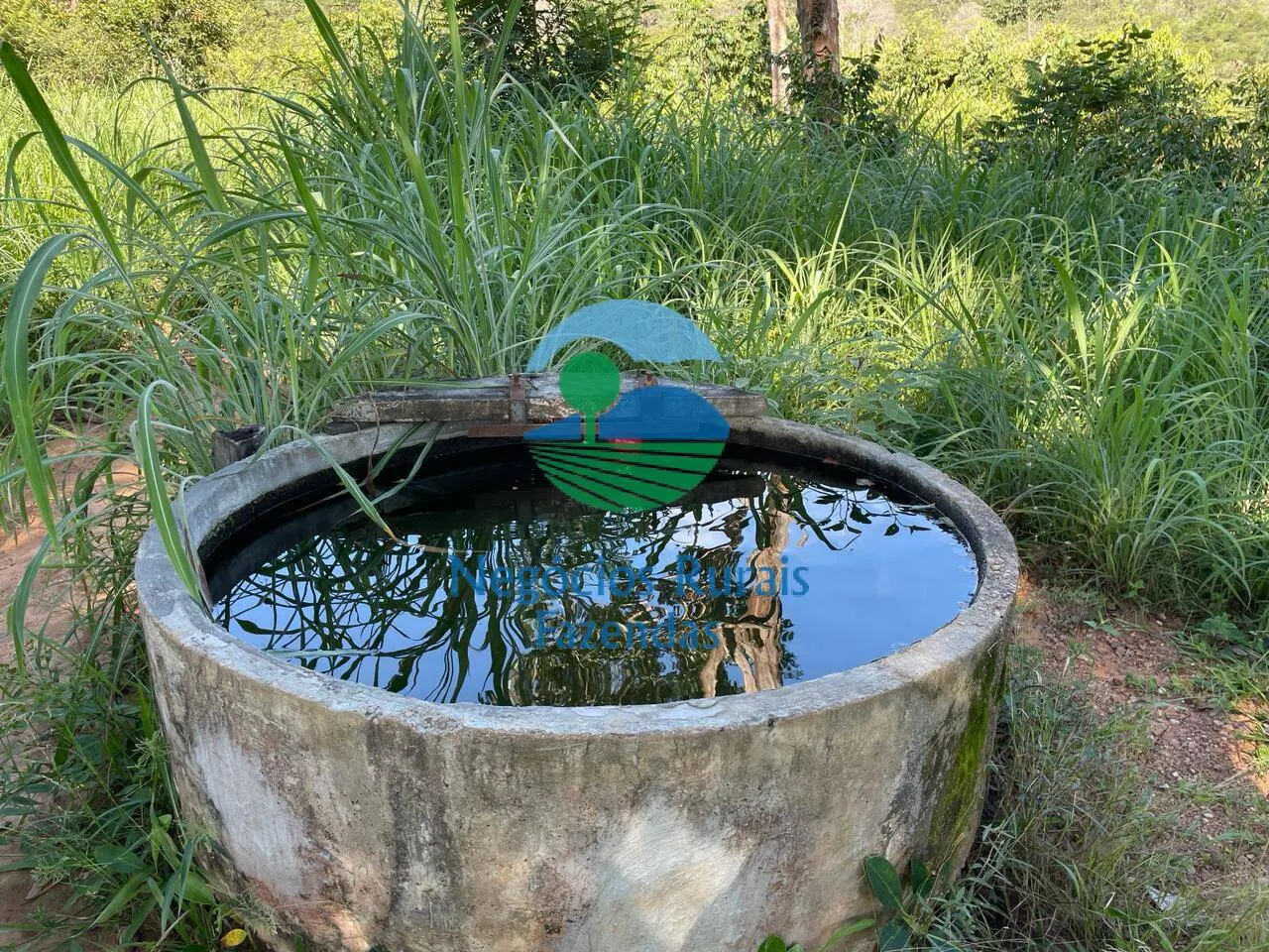 Fazenda à venda de 121 ha em Campinaçu, GO, Brasil