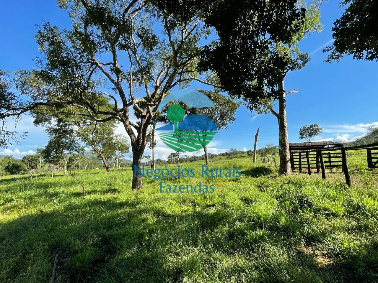 Fazenda à venda de 121 ha em Campinaçu, GO, Brasil
