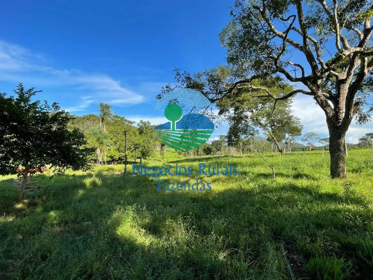 Fazenda à venda de 121 ha em Campinaçu, GO, Brasil