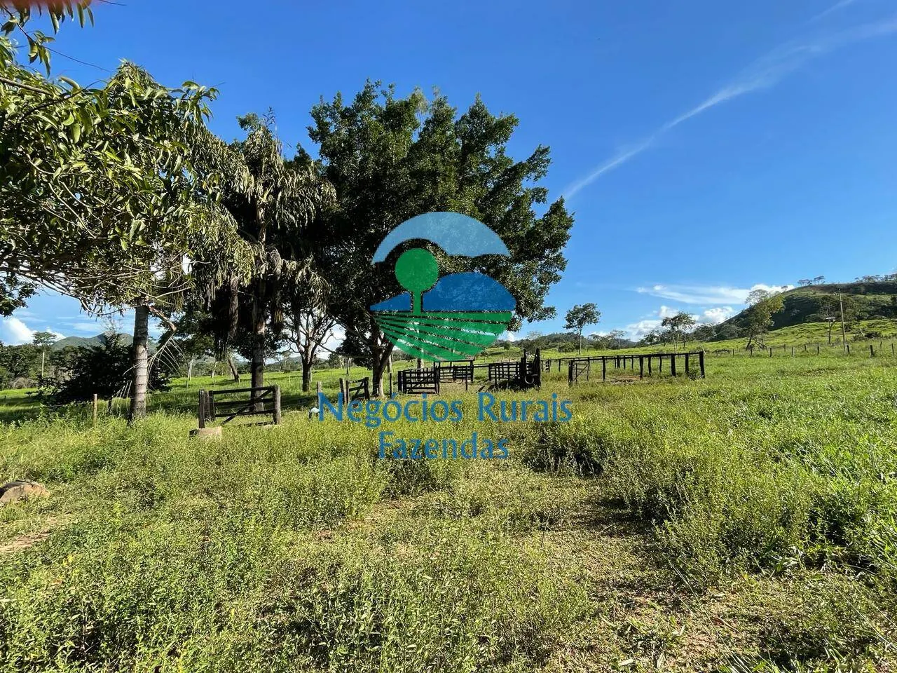 Fazenda à venda de 121 ha em Campinaçu, GO, Brasil