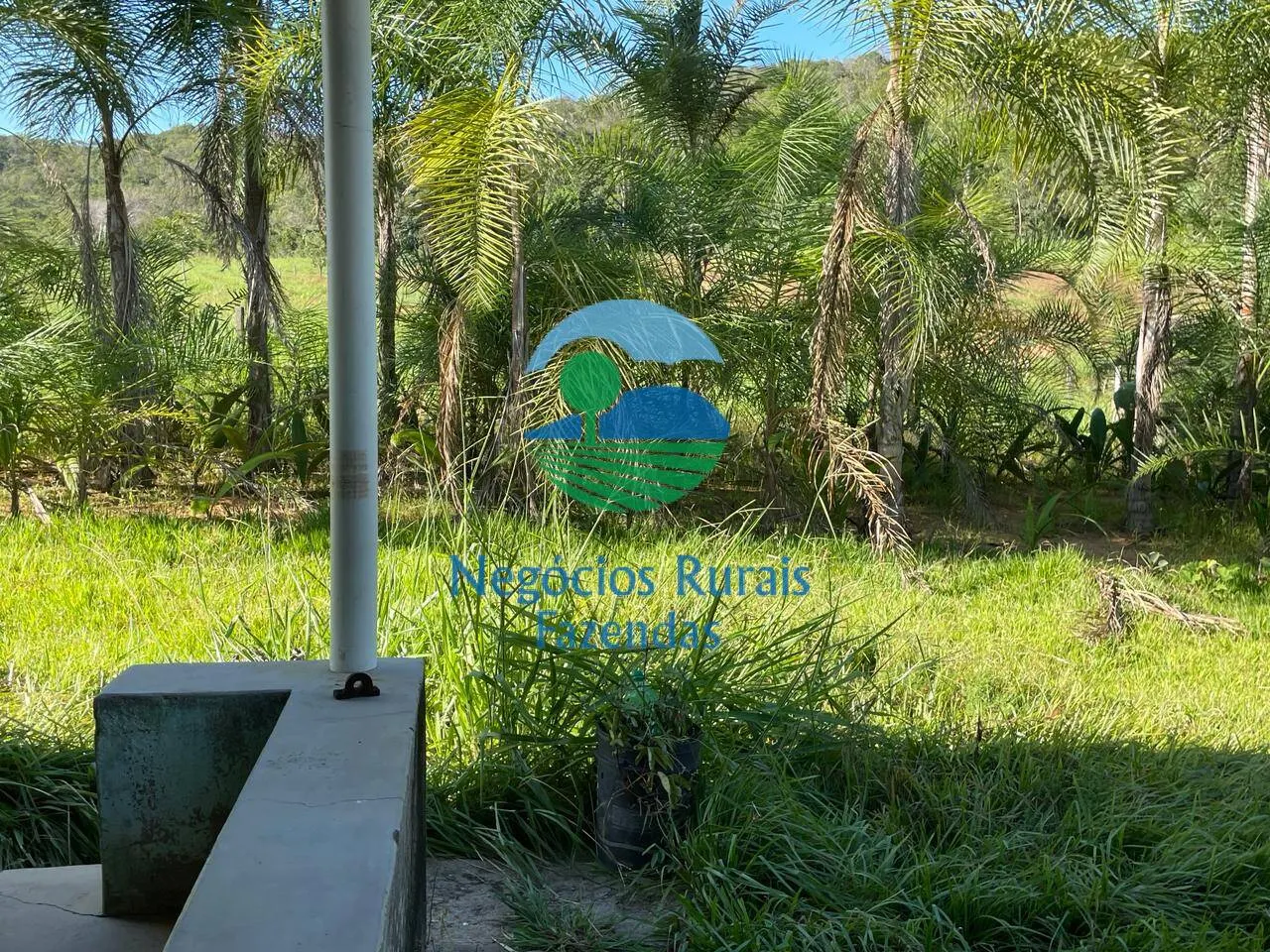 Fazenda à venda de 121 ha em Campinaçu, GO, Brasil