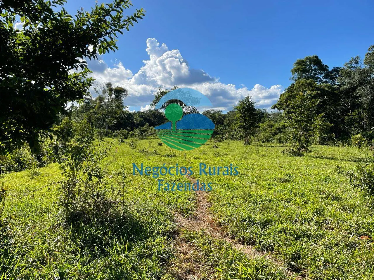 Fazenda à venda de 121 ha em Campinaçu, GO, Brasil