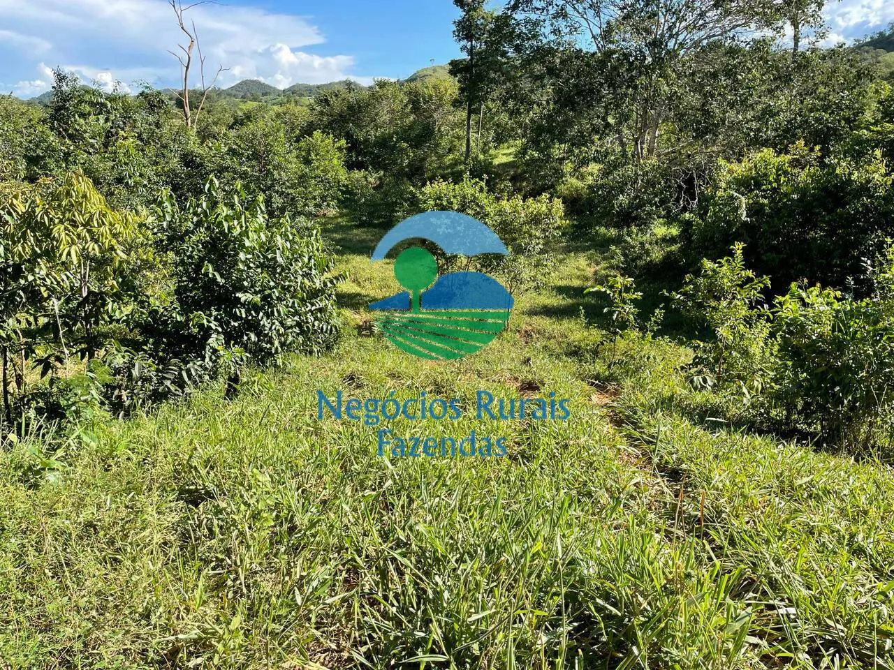Fazenda à venda de 121 ha em Campinaçu, GO, Brasil