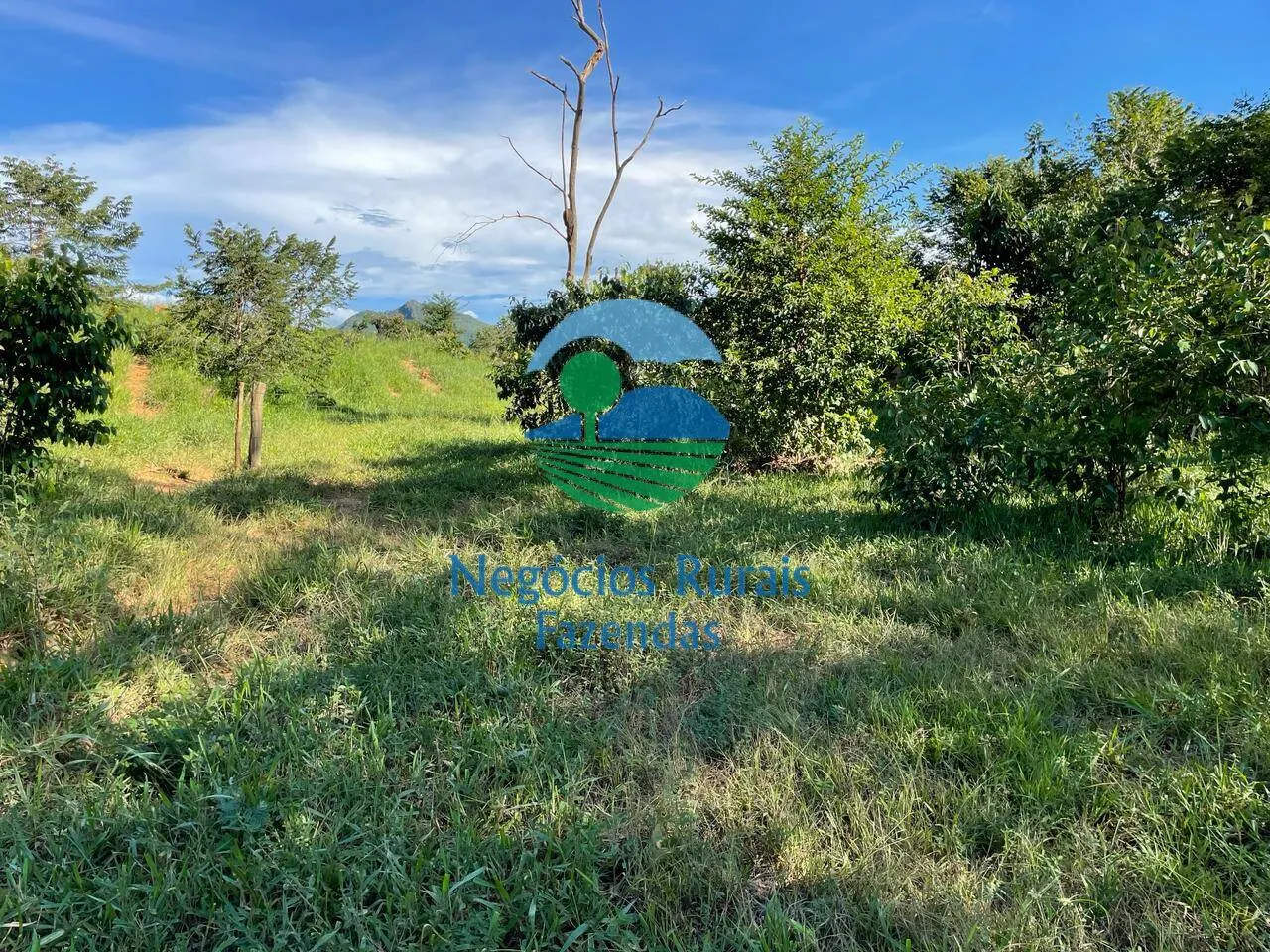 Fazenda à venda de 121 ha em Campinaçu, GO, Brasil