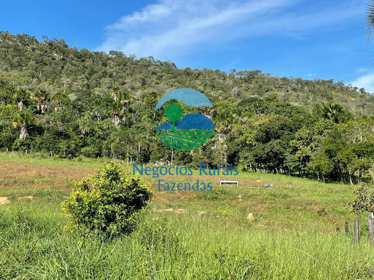 Fazenda à venda de 121 ha em Campinaçu, GO, Brasil