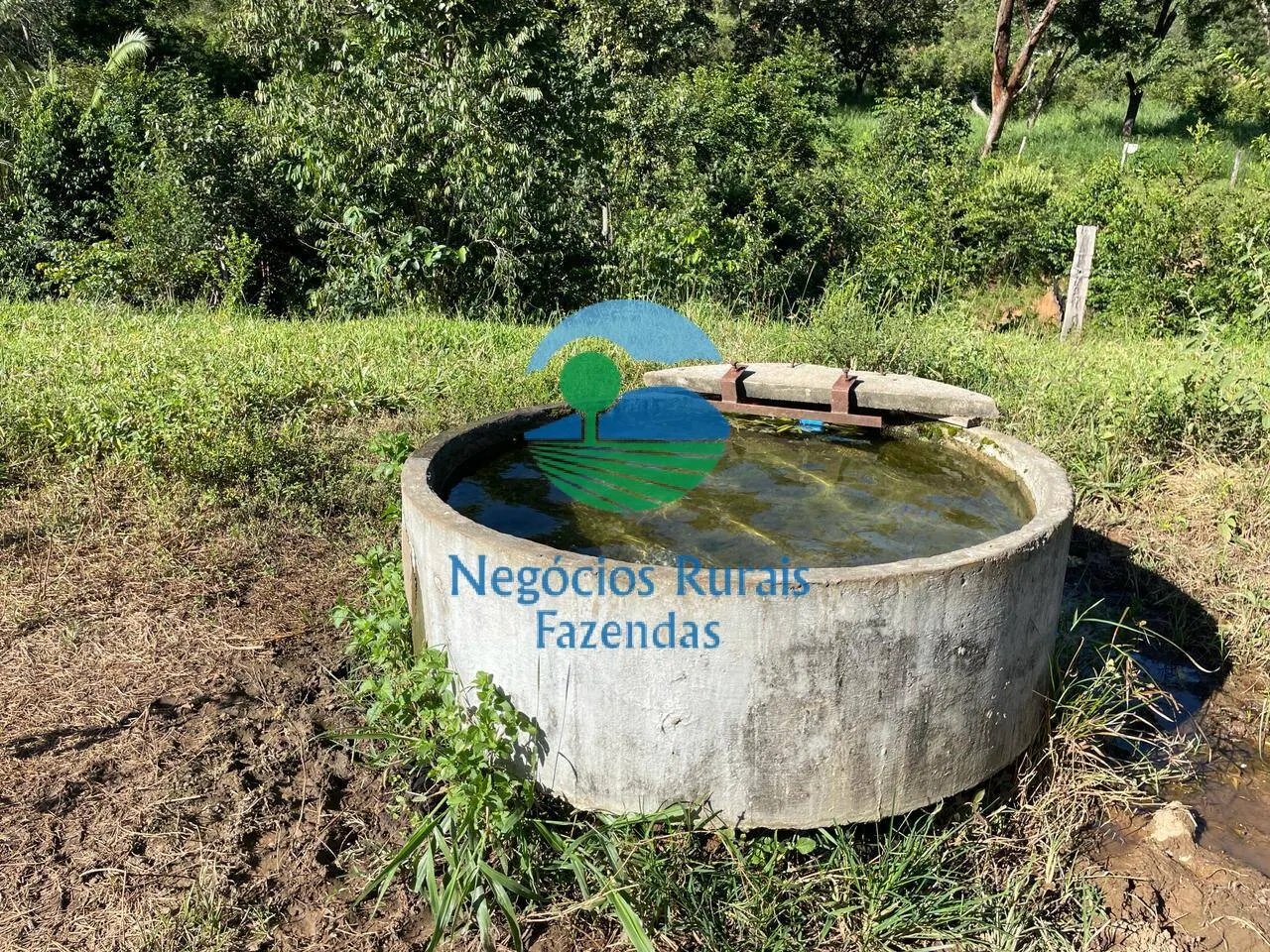 Fazenda à venda de 121 ha em Campinaçu, GO, Brasil