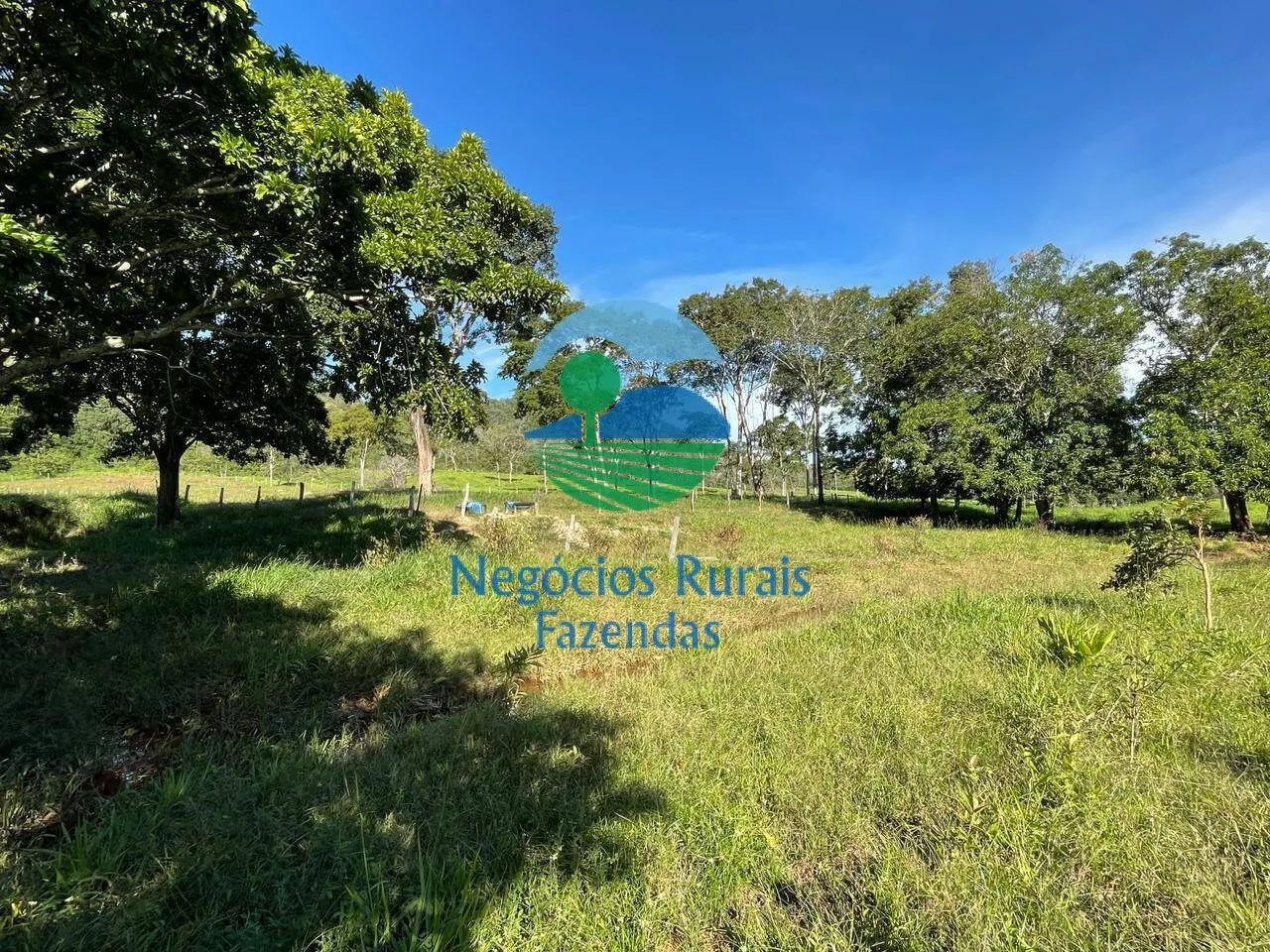 Fazenda à venda de 121 ha em Campinaçu, GO, Brasil