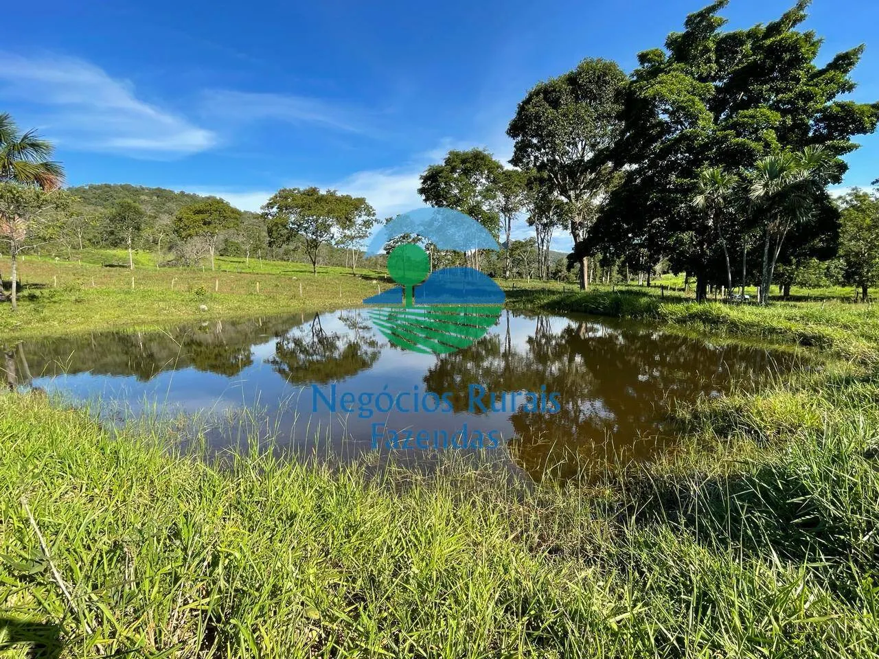 Fazenda à venda de 121 ha em Campinaçu, GO, Brasil
