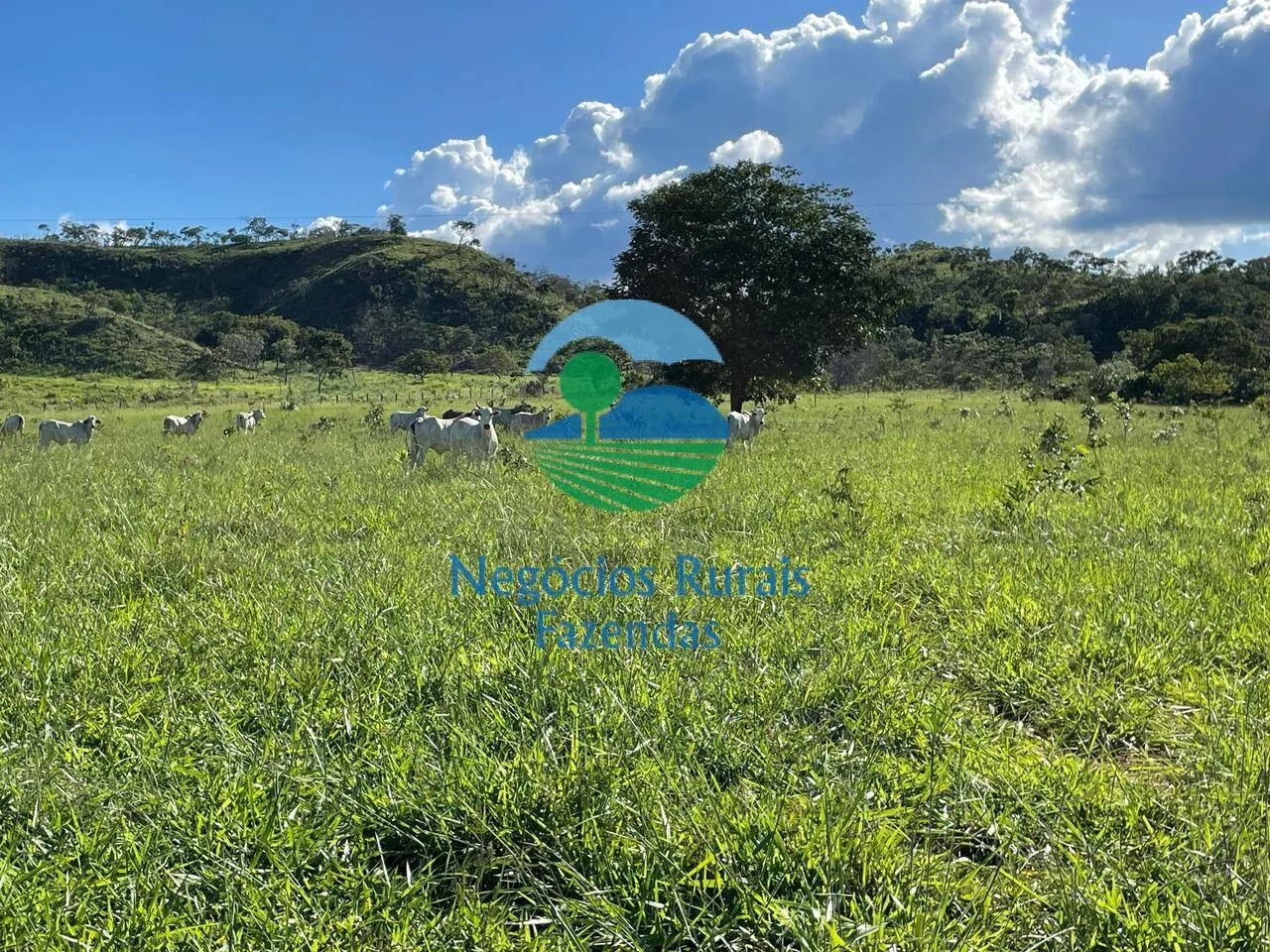 Fazenda à venda de 121 ha em Campinaçu, GO, Brasil