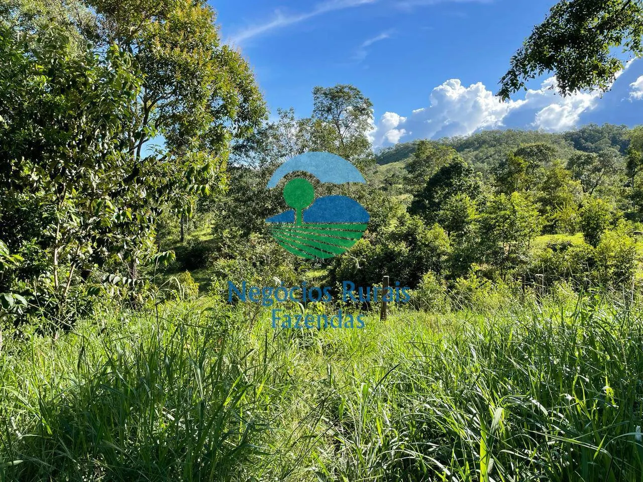 Fazenda à venda de 121 ha em Campinaçu, GO, Brasil