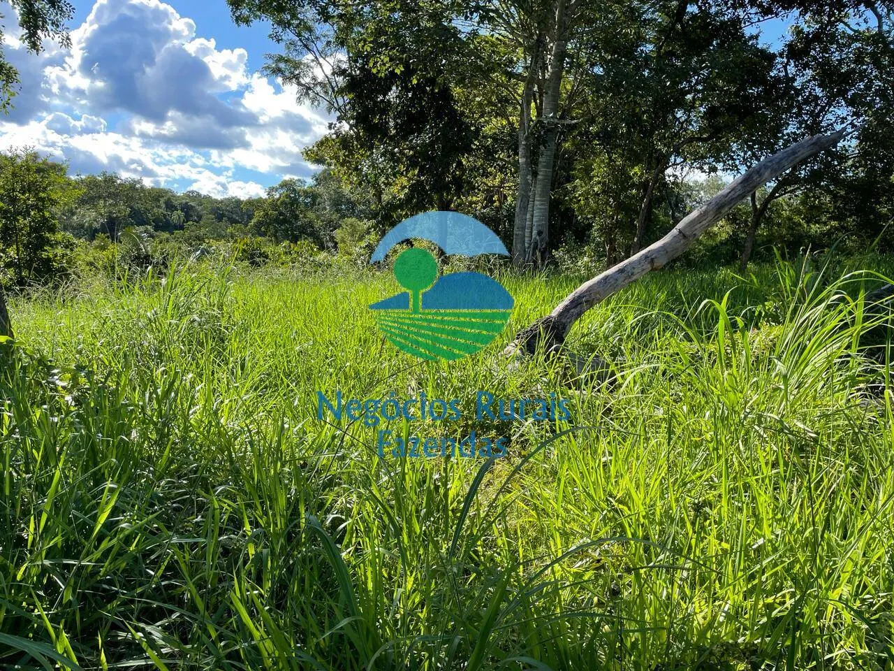 Fazenda à venda de 121 ha em Campinaçu, GO, Brasil