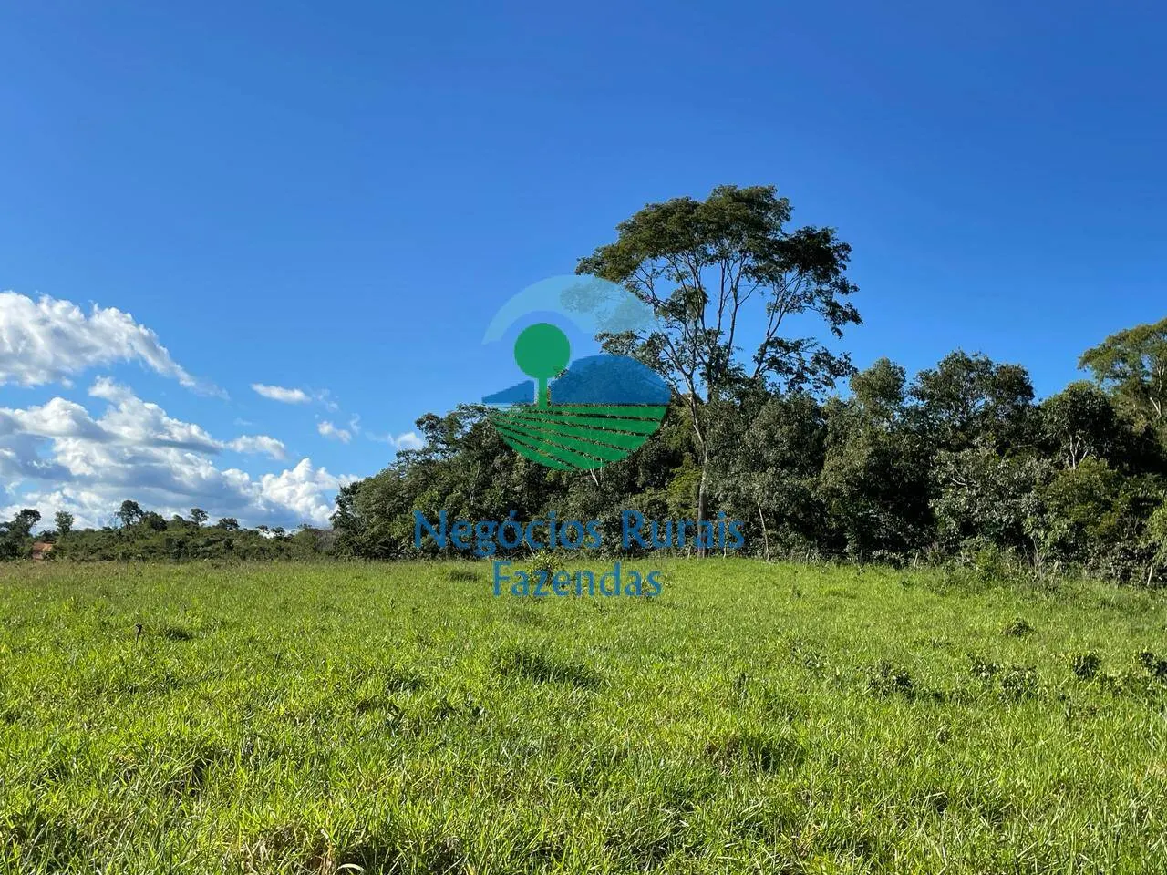 Fazenda à venda de 121 ha em Campinaçu, GO, Brasil