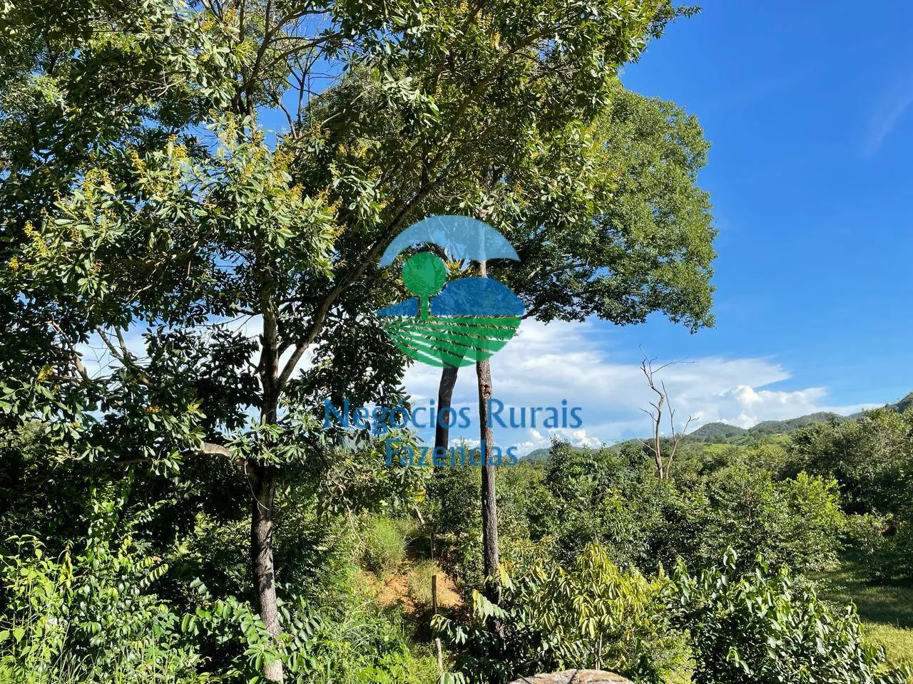 Fazenda à venda de 121 ha em Campinaçu, GO, Brasil