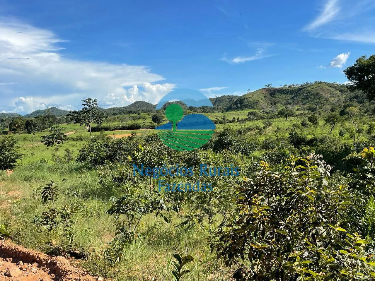 Fazenda à venda de 121 ha em Campinaçu, GO, Brasil