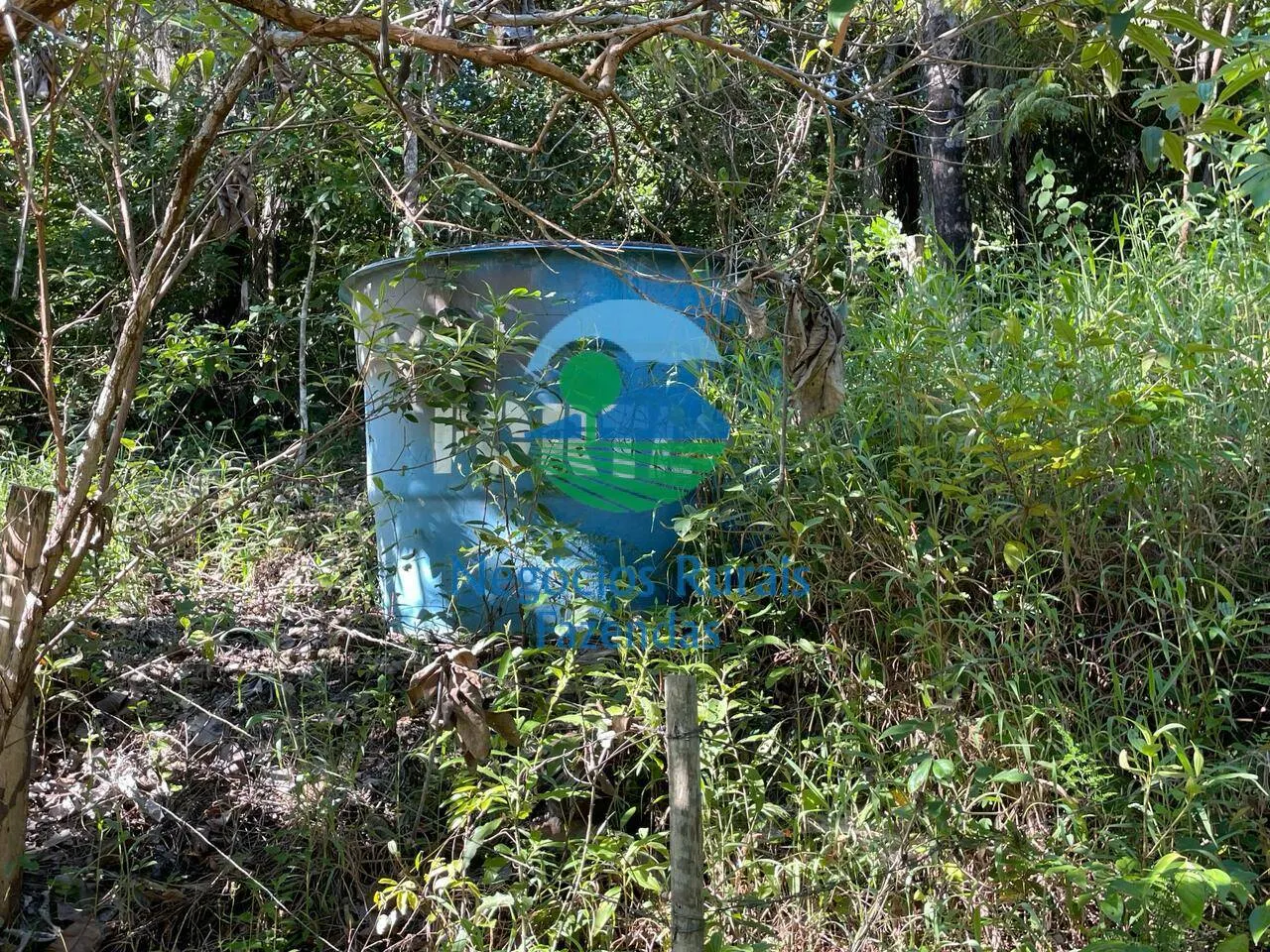 Fazenda à venda de 121 ha em Campinaçu, GO, Brasil