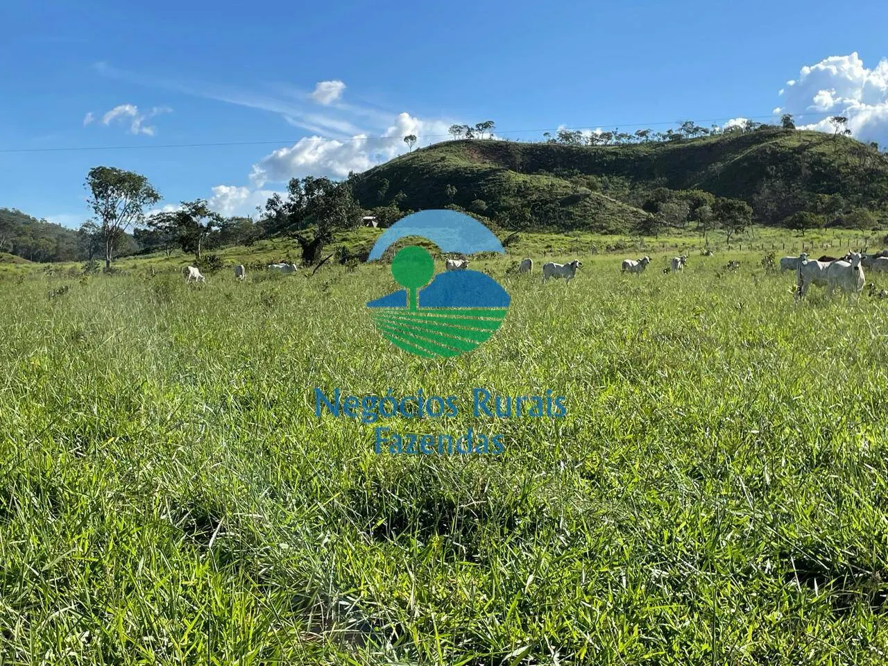 Fazenda à venda de 121 ha em Campinaçu, GO, Brasil