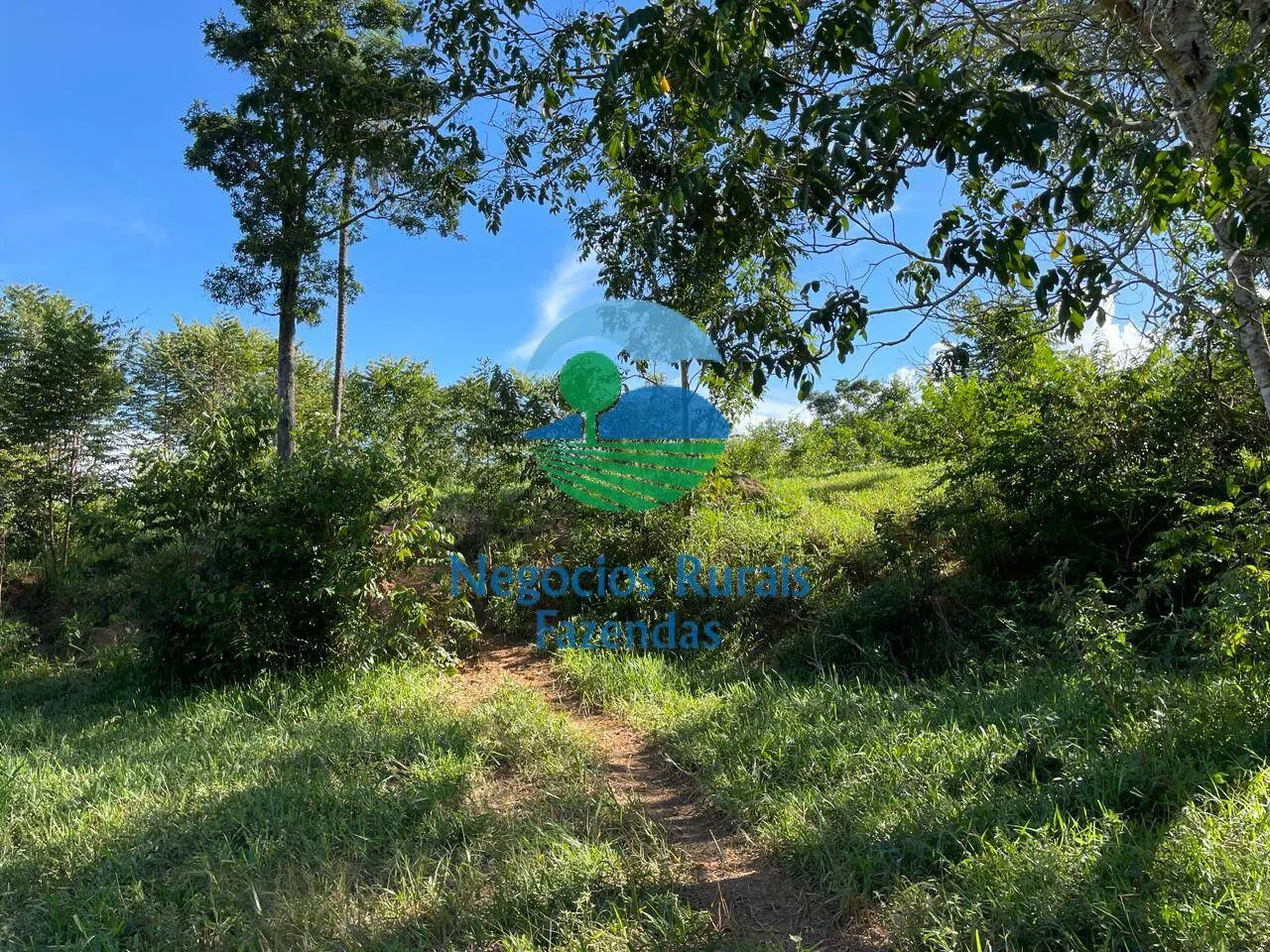 Fazenda à venda de 121 ha em Campinaçu, GO, Brasil