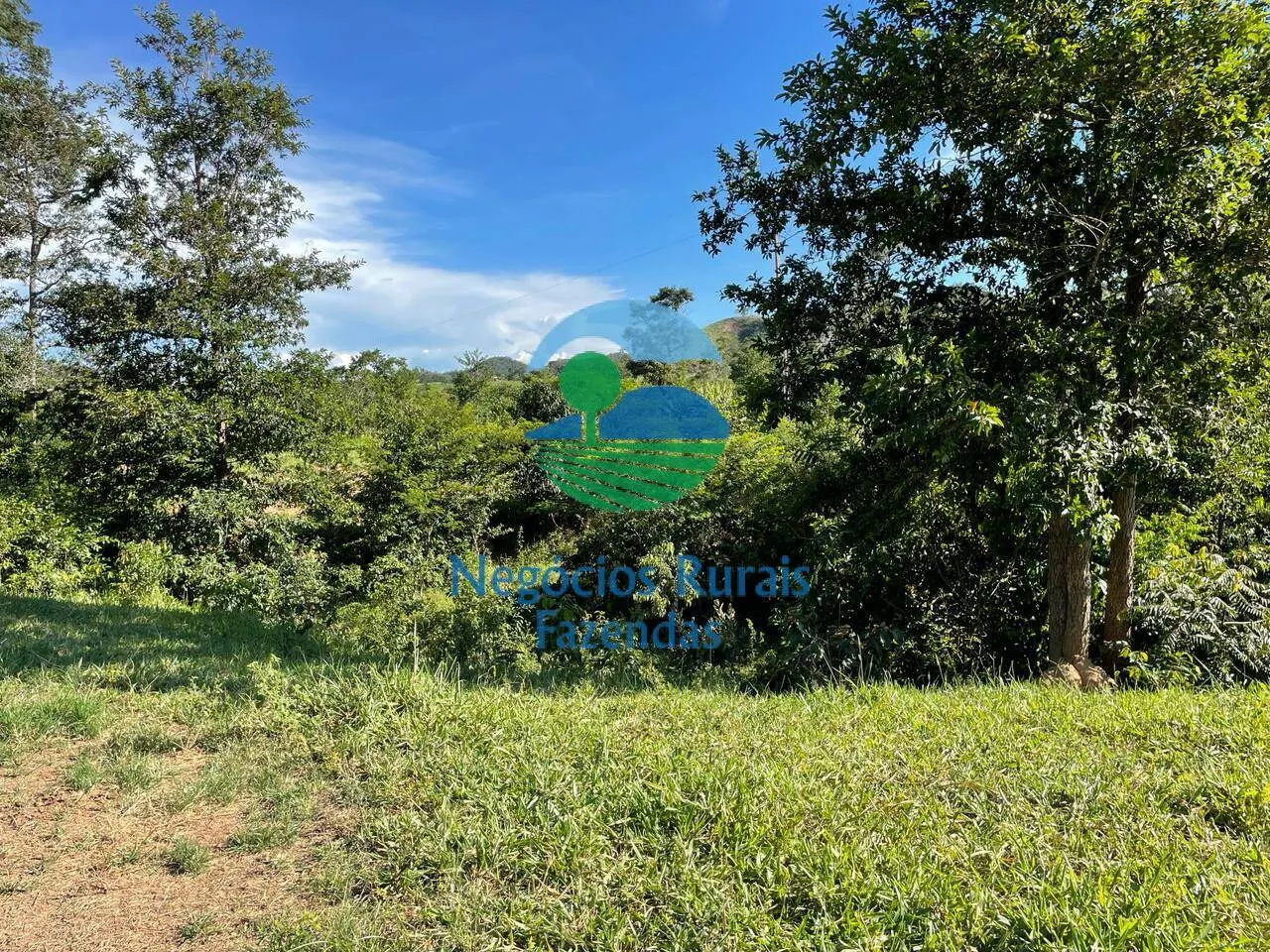 Fazenda à venda de 121 ha em Campinaçu, GO, Brasil