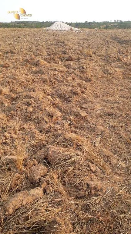 Farm for sale of 1,606 acres in Primavera do Leste, MT, Brazil