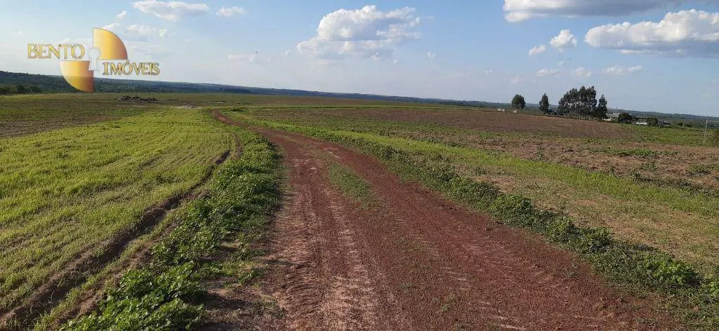 Farm for sale of 1,606 acres in Primavera do Leste, MT, Brazil