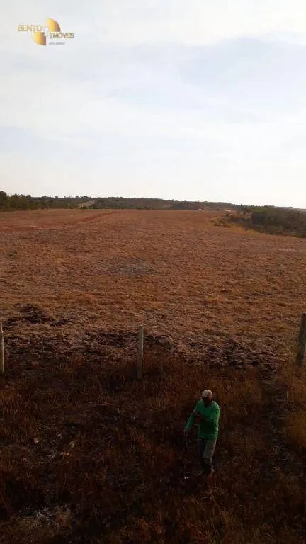 Farm for sale of 1,606 acres in Primavera do Leste, MT, Brazil