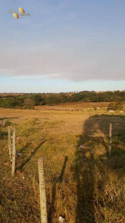 Farm for sale of 1,606 acres in Primavera do Leste, MT, Brazil