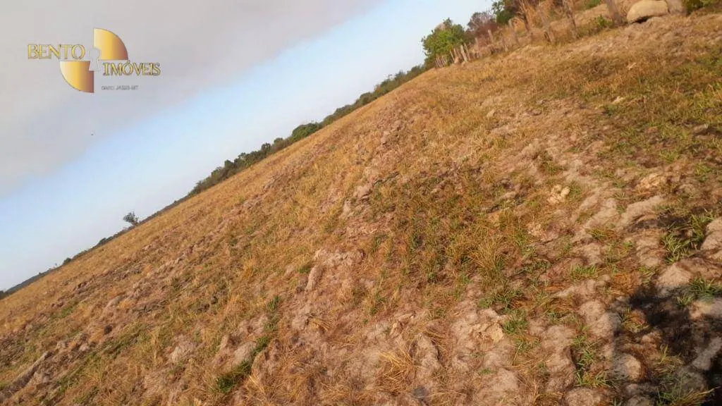Farm for sale of 1,606 acres in Primavera do Leste, MT, Brazil
