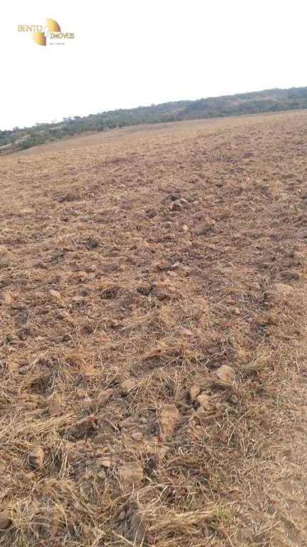 Farm for sale of 1,606 acres in Primavera do Leste, MT, Brazil