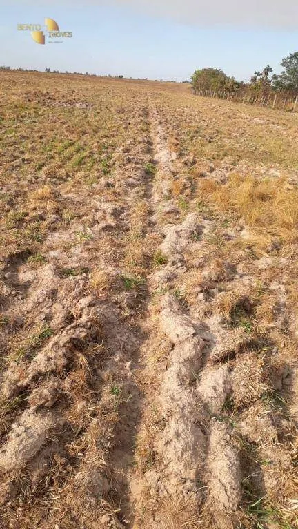 Farm for sale of 1,606 acres in Primavera do Leste, MT, Brazil