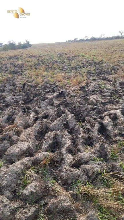 Farm for sale of 1,606 acres in Primavera do Leste, MT, Brazil