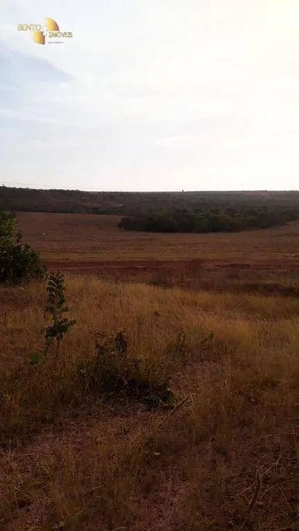 Farm for sale of 1,606 acres in Primavera do Leste, MT, Brazil