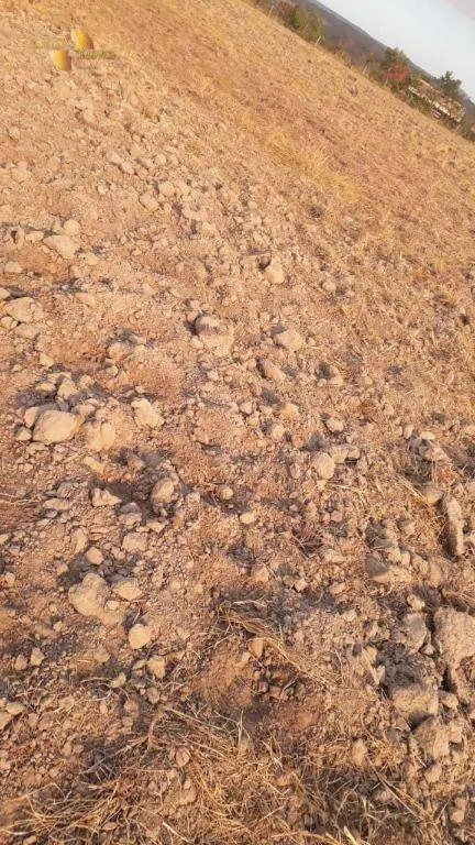 Farm for sale of 1,606 acres in Primavera do Leste, MT, Brazil