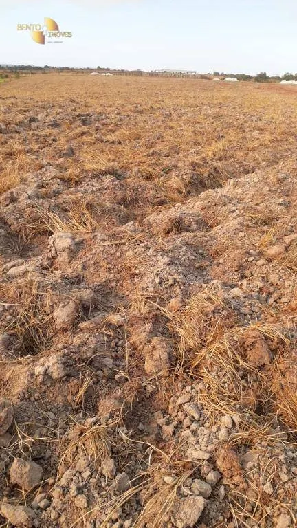 Farm for sale of 1,606 acres in Primavera do Leste, MT, Brazil
