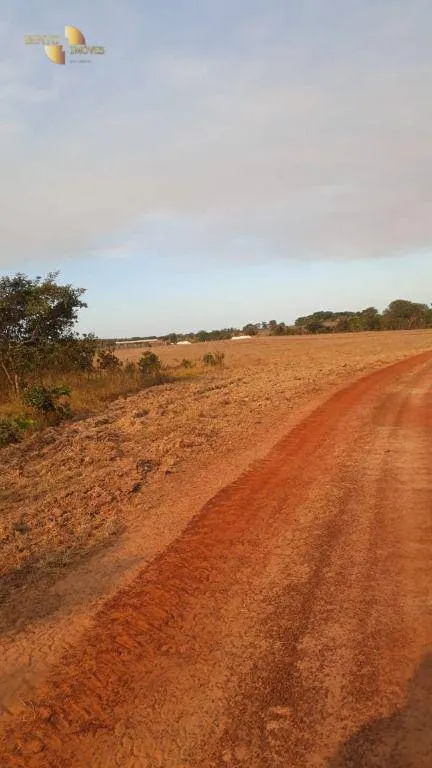 Farm for sale of 1,606 acres in Primavera do Leste, MT, Brazil