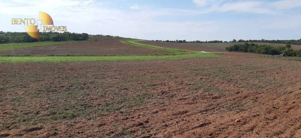 Farm for sale of 1,606 acres in Primavera do Leste, MT, Brazil