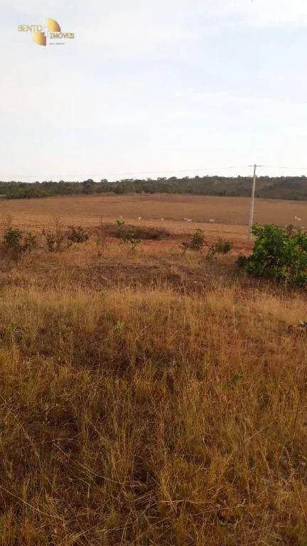 Farm for sale of 1,606 acres in Primavera do Leste, MT, Brazil