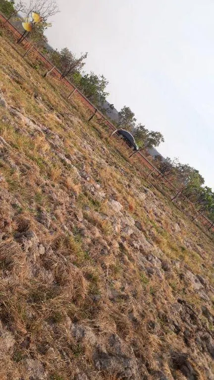 Farm for sale of 1,606 acres in Primavera do Leste, MT, Brazil