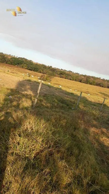 Farm for sale of 1,606 acres in Primavera do Leste, MT, Brazil