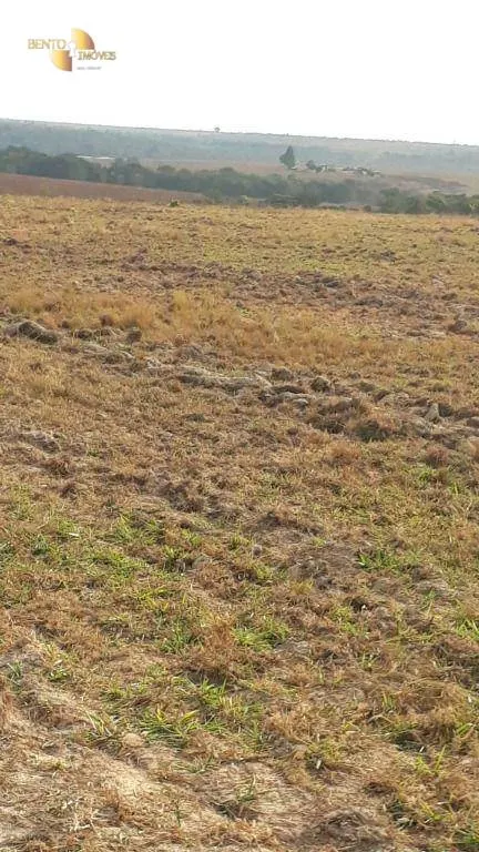 Farm for sale of 1,606 acres in Primavera do Leste, MT, Brazil
