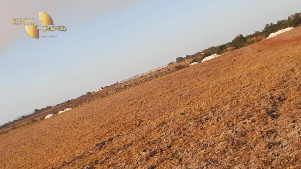Farm for sale of 1,606 acres in Primavera do Leste, MT, Brazil