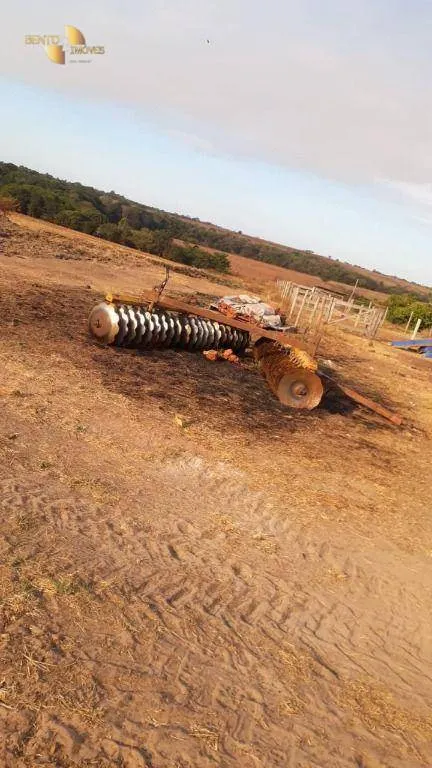 Farm for sale of 1,606 acres in Primavera do Leste, MT, Brazil