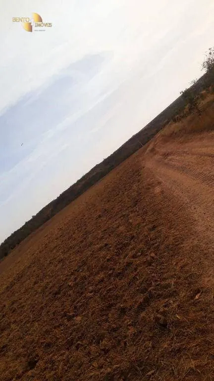 Farm for sale of 1,606 acres in Primavera do Leste, MT, Brazil