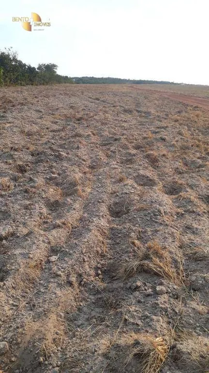 Farm for sale of 1,606 acres in Primavera do Leste, MT, Brazil