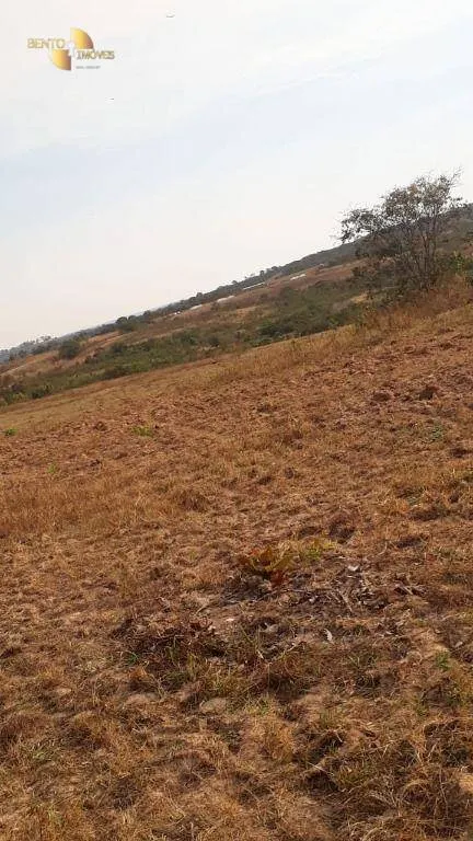 Farm for sale of 1,606 acres in Primavera do Leste, MT, Brazil