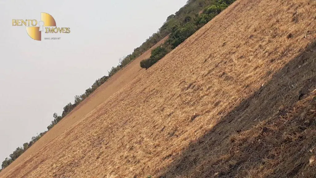 Farm for sale of 1,606 acres in Primavera do Leste, MT, Brazil
