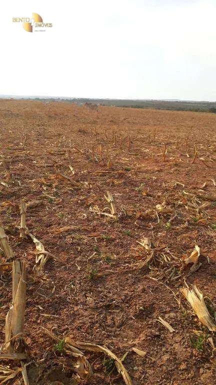 Farm for sale of 1,606 acres in Primavera do Leste, MT, Brazil
