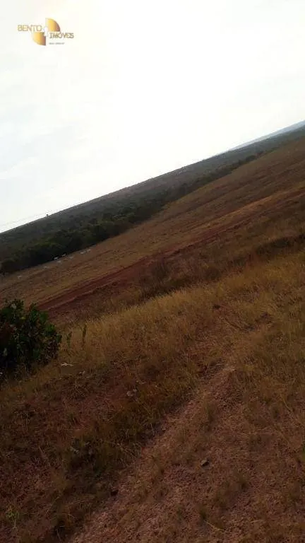 Farm for sale of 1,606 acres in Primavera do Leste, MT, Brazil
