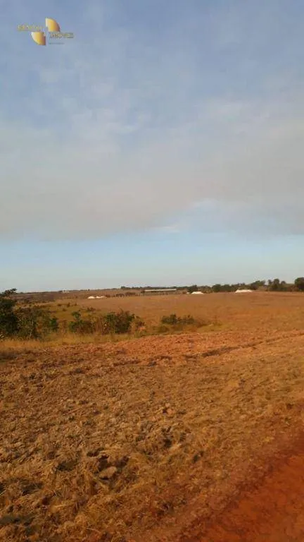 Farm for sale of 1,606 acres in Primavera do Leste, MT, Brazil